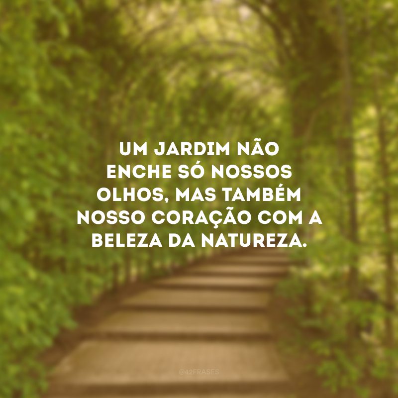 Um jardim não enche só nossos olhos, mas também nosso coração com a beleza da natureza.