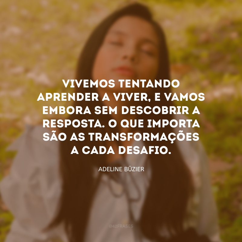 Vivemos tentando aprender a viver, e vamos embora sem descobrir a resposta. O que importa são as transformações a cada desafio. 