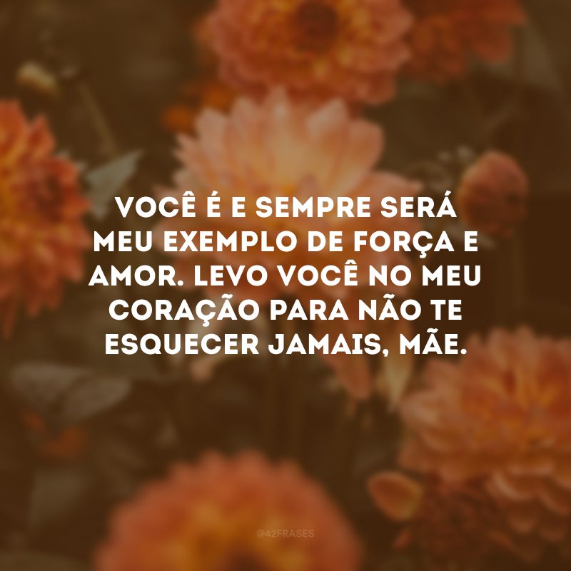 Você é e sempre será meu exemplo de força e amor. Levo você no meu coração para não te esquecer jamais, mãe.