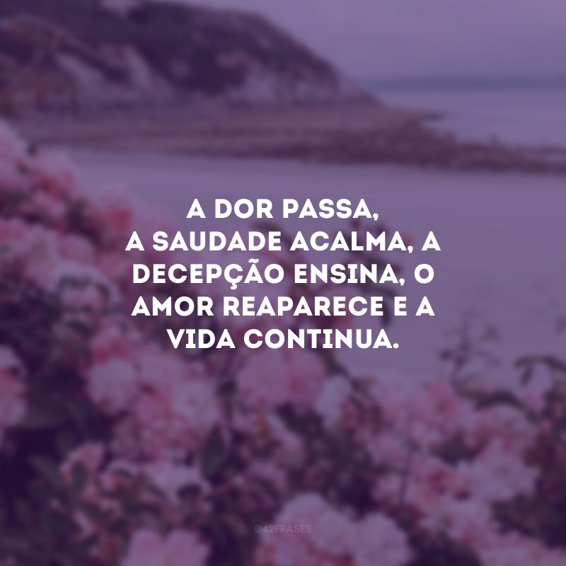 A dor passa, a saudade acalma, a decepção ensina, o amor reaparece e a vida continua. 