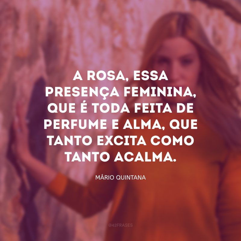 A rosa, essa presença feminina, que é toda feita de perfume e alma, que tanto excita como tanto acalma. 