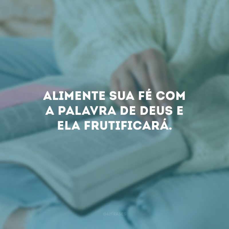 Alimente sua fé com a palavra de Deus e ela frutificará.