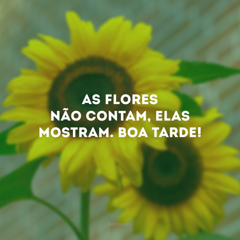 As flores não contam, elas mostram. Boa tarde!