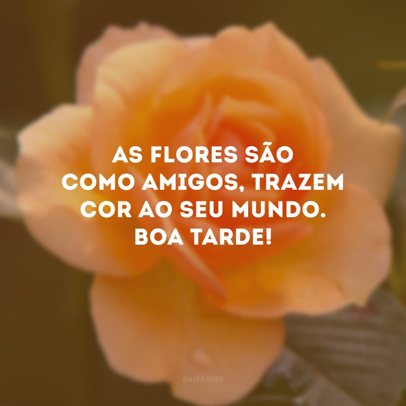 As flores são como amigos, trazem cor ao seu mundo. Boa tarde!