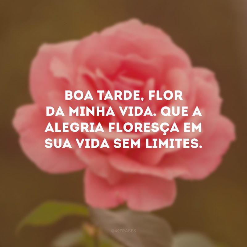 Boa tarde, flor da minha vida. Que a alegria floresça em sua vida sem limites. 