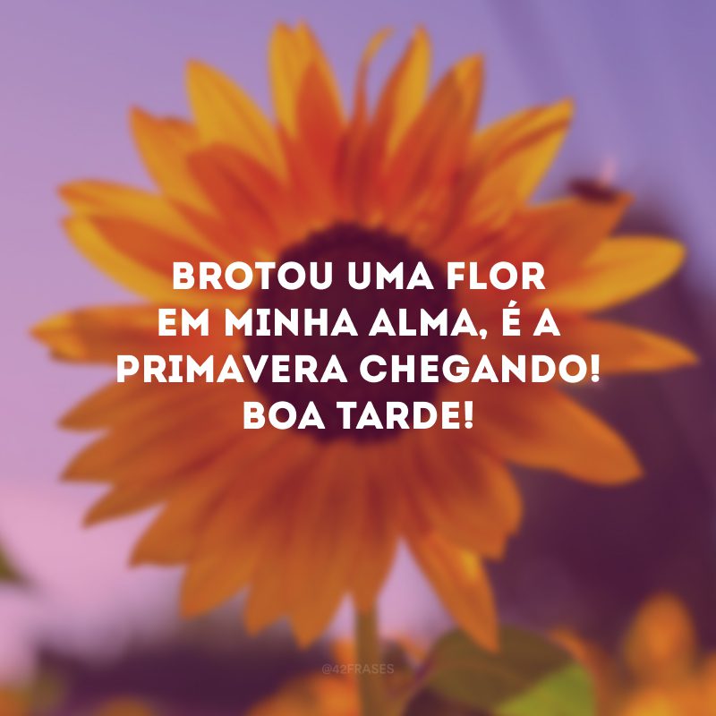 Brotou uma flor em minha alma, é a primavera chegando! Boa tarde! 