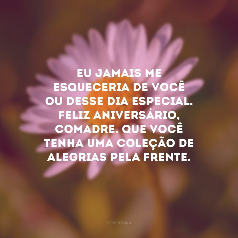 Eu jamais me esqueceria de você ou desse dia especial. Feliz aniversário, comadre. Que você tenha uma coleção de alegrias pela frente.