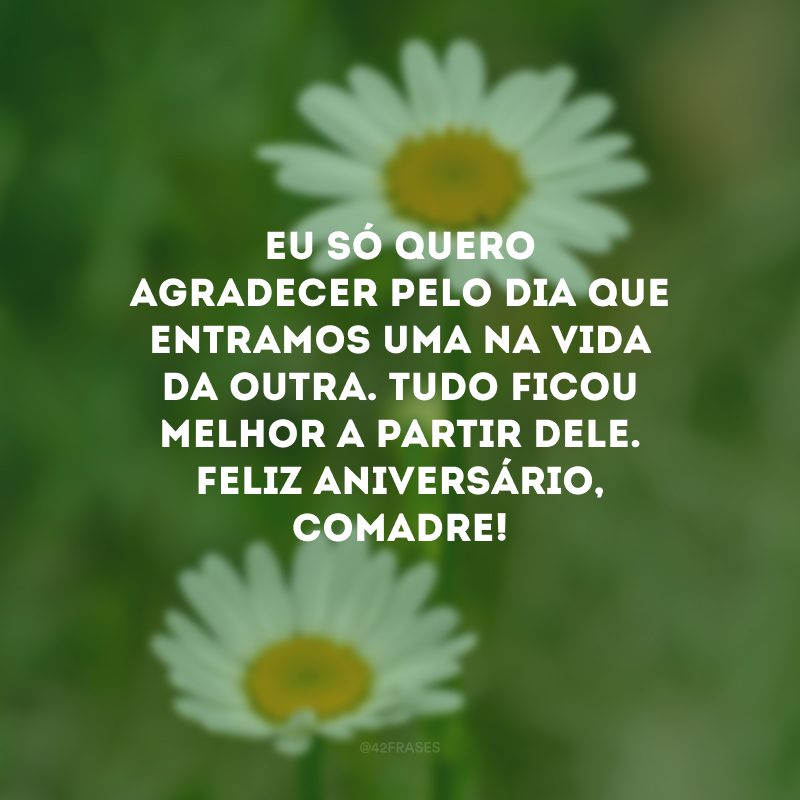 Eu só quero agradecer pelo dia que entramos uma na vida da outra. Tudo ficou melhor a partir dele. Feliz aniversário, comadre!