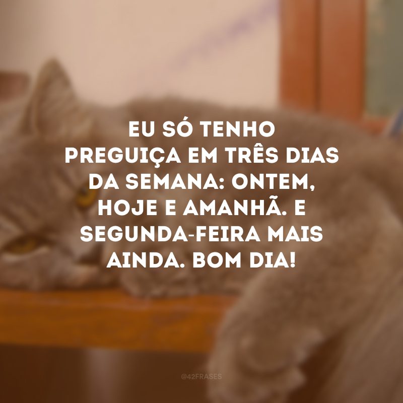 Eu só tenho preguiça em três dias da semana: ontem, hoje e amanhã. E segunda-feira mais ainda. Bom dia!