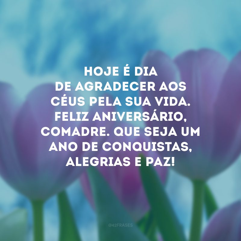 Hoje é dia de agradecer aos céus pela sua vida. Feliz aniversário, comadre. Que seja um ano de conquistas, alegrias e paz!