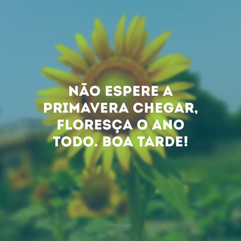 Não espere a primavera chegar, floresça o ano todo. Boa tarde! 