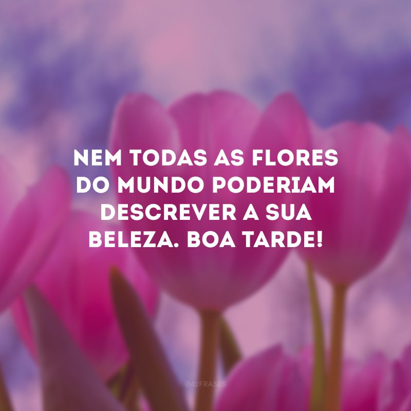 Nem todas as flores do mundo poderiam descrever a sua beleza. Boa tarde! 