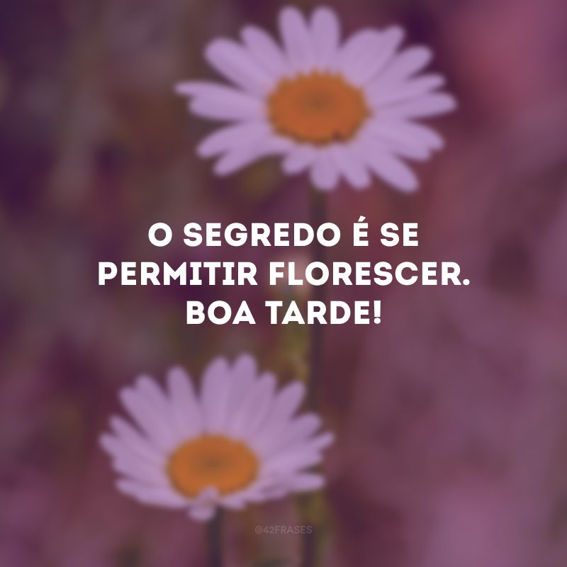 O segredo é se permitir florescer. Boa tarde! 