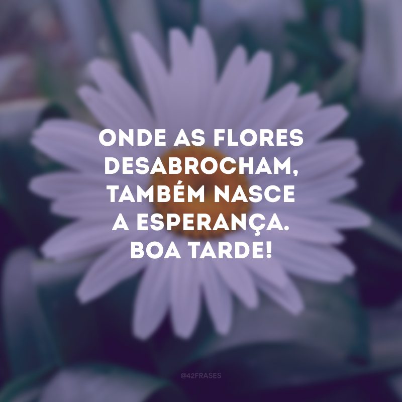 Onde as flores desabrocham, também nasce a esperança. Boa tarde!