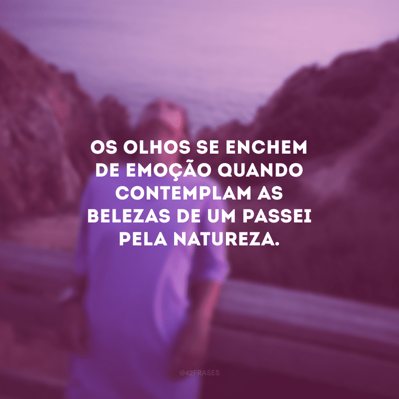 Os olhos se enchem de emoção quando contemplam as belezas de um passei pela natureza.