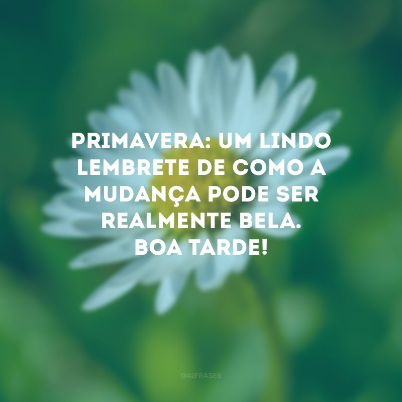 Primavera: um lindo lembrete de como a mudança pode ser realmente bela. Boa tarde!