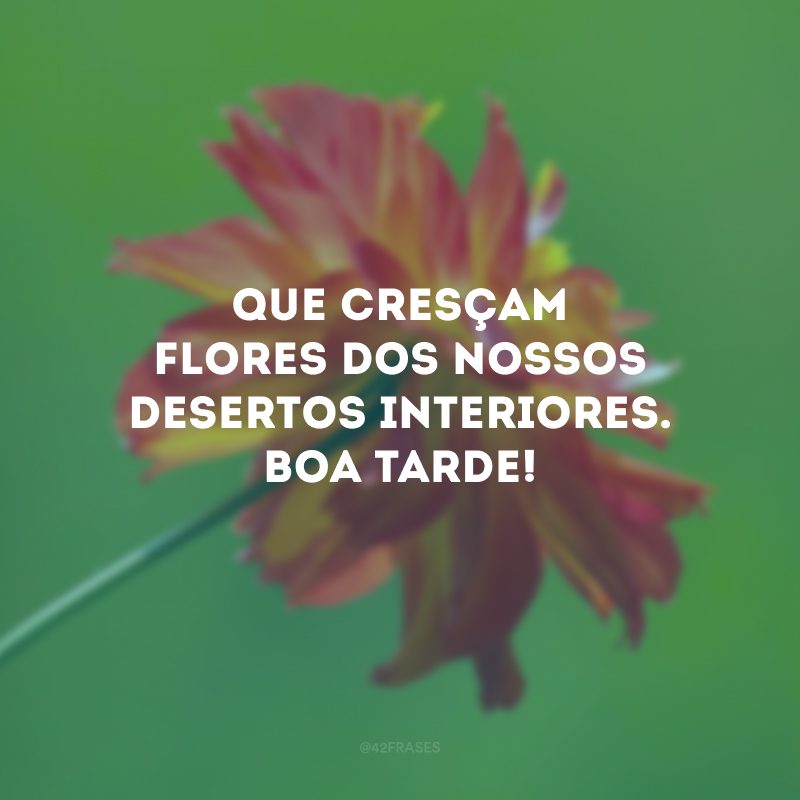 Que cresçam flores dos nossos desertos interiores. Boa tarde!