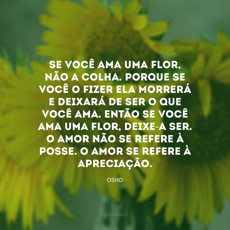 Se você ama uma flor, não a colha. Porque se você o fizer ela morrerá e deixará de ser o que você ama. Então se você ama uma flor, deixe-a ser. O amor não se refere à posse. O amor se refere à apreciação. 