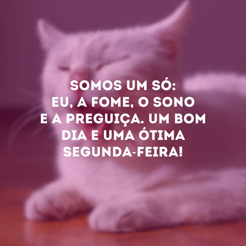 Somos um só: eu, a fome, o sono e a preguiça. Um bom dia e uma ótima segunda-feira!