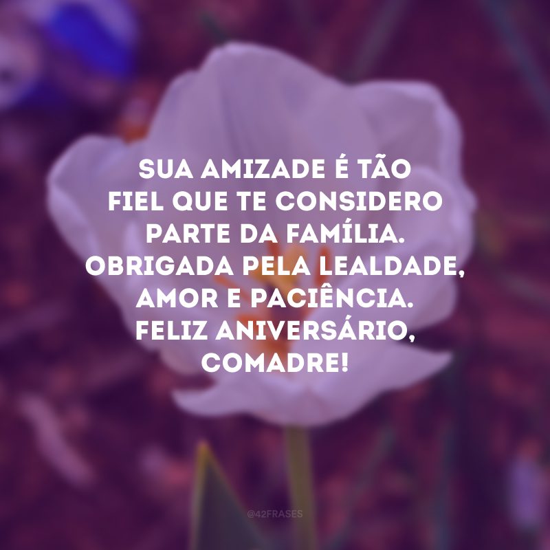 Sua amizade é tão fiel que te considero parte da família. Obrigada pela lealdade, amor e paciência. Feliz aniversário, comadre!