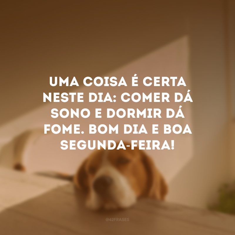 Uma coisa é certa neste dia: comer dá sono e dormir dá fome. Bom dia e boa segunda-feira! 