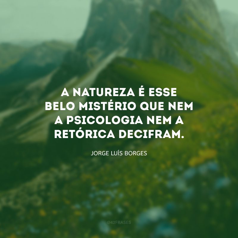 A natureza é esse belo mistério que nem a psicologia nem a retórica decifram.