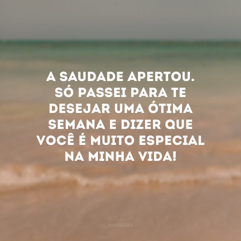 A saudade apertou. Só passei para te desejar uma ótima semana e dizer que você é muito especial na minha vida!