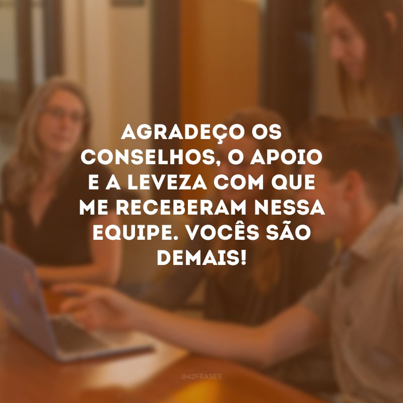 Agradeço os conselhos, o apoio e a leveza com que me receberam nessa equipe. Vocês são demais!