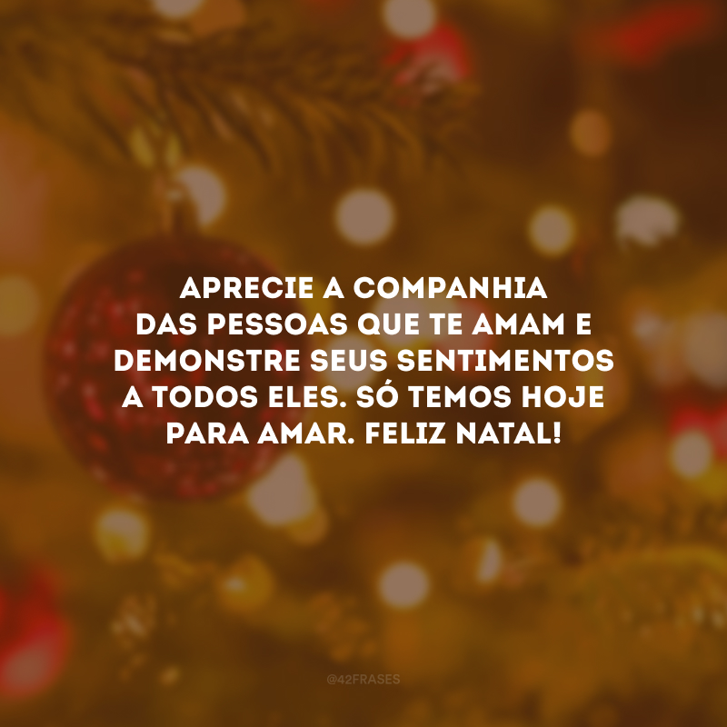 Aprecie a companhia das pessoas que te amam e demonstre seus sentimentos a todos eles. Só temos hoje para amar. Feliz Natal!