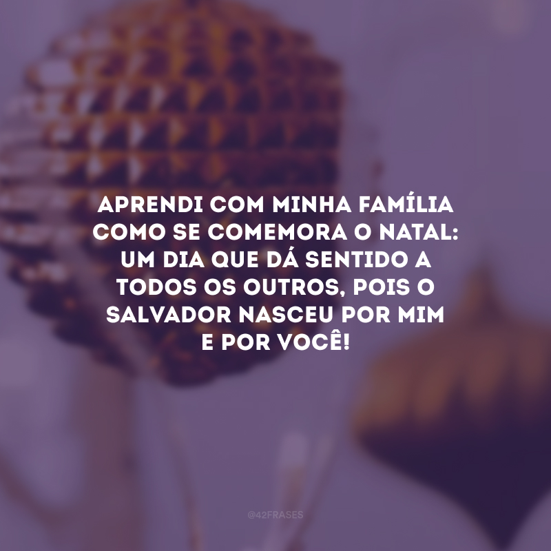 Aprendi com minha família como se comemora o Natal: um dia que dá sentido a todos os outros, pois o Salvador nasceu por mim e por você! 