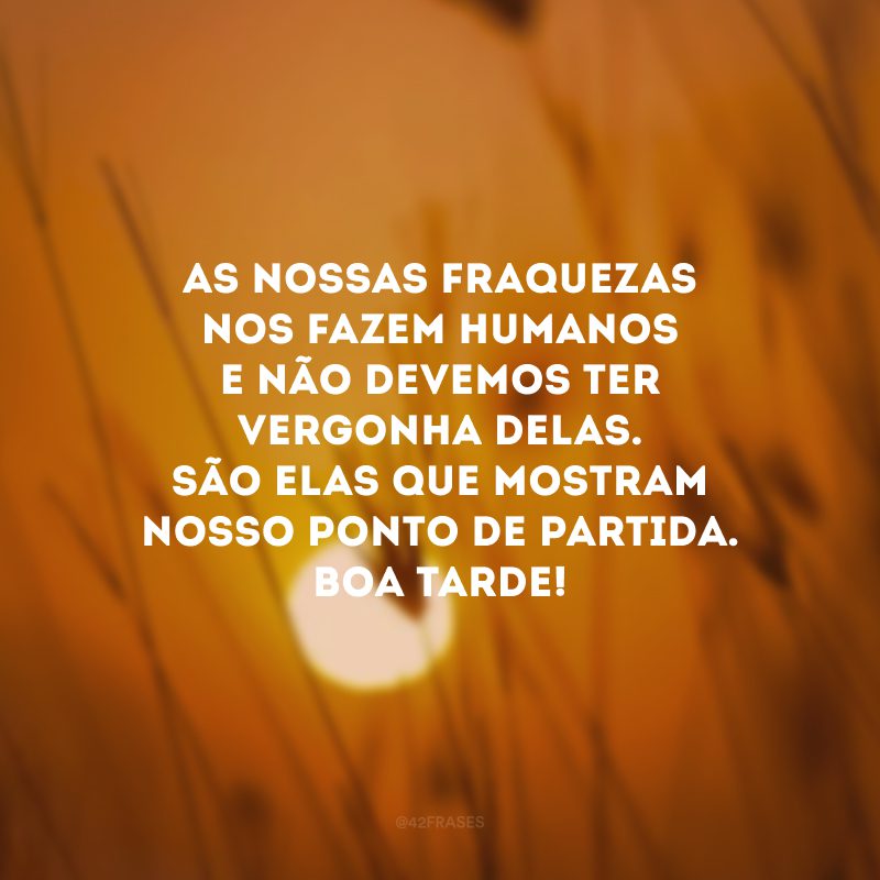 As nossas fraquezas nos fazem humanos e não devemos ter vergonha delas. São elas que mostram nosso ponto de partida. Boa tarde!