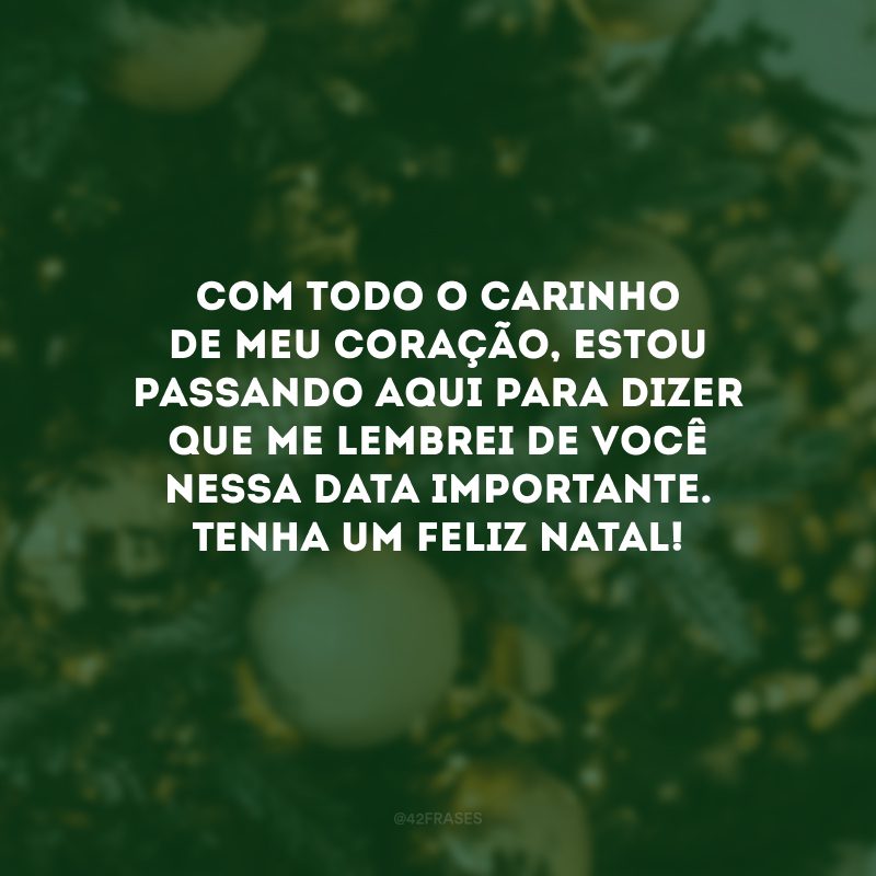 Com todo o carinho de meu coração, estou passando aqui para dizer que me lembrei de você nessa data importante. Tenha um Feliz Natal!