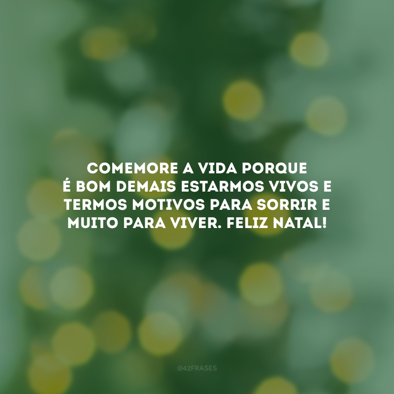 Comemore a vida porque é bom demais estarmos vivos e termos motivos para sorrir e muito para viver. Feliz Natal!