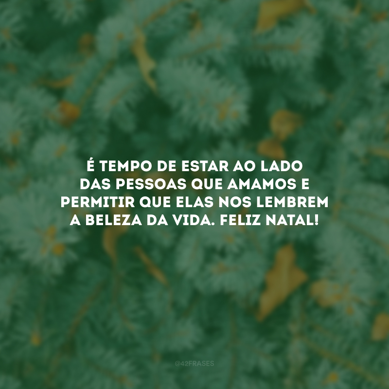 40 Frases Motivacionais De Natal Que Renovam Suas Esperanças