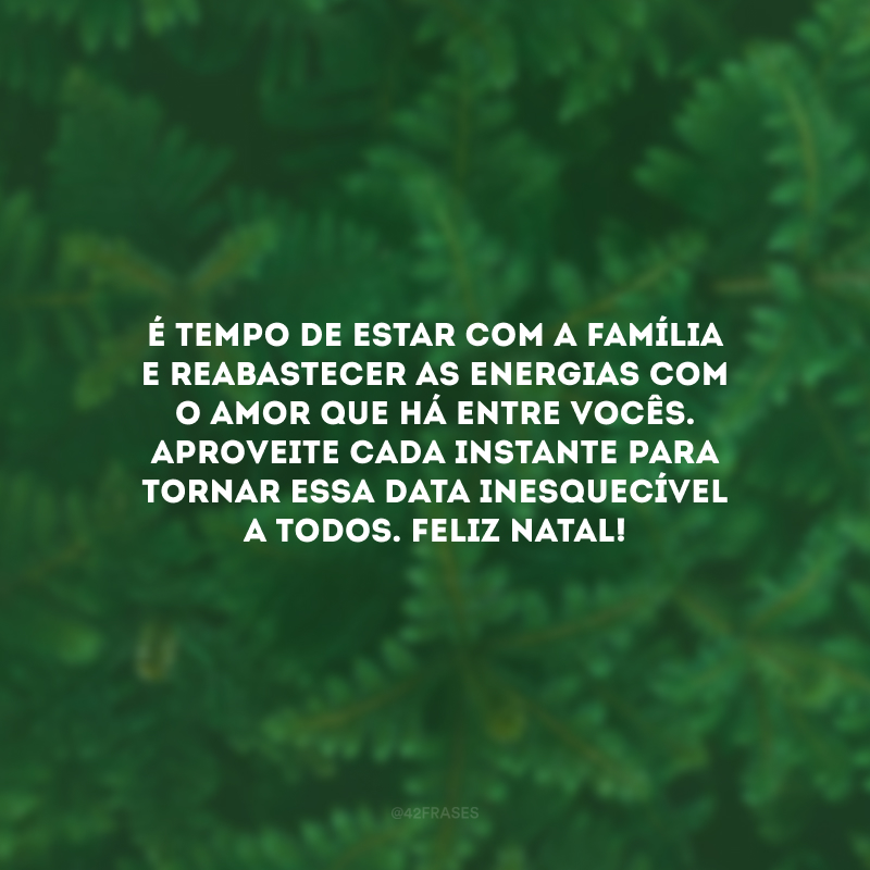 É tempo de estar com a família e reabastecer as energias com o amor que há entre vocês. Aproveite cada instante para tornar essa data inesquecível a todos. Feliz Natal!