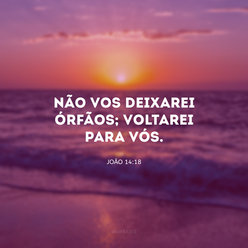 Não vos deixarei órfãos; voltarei para vós.