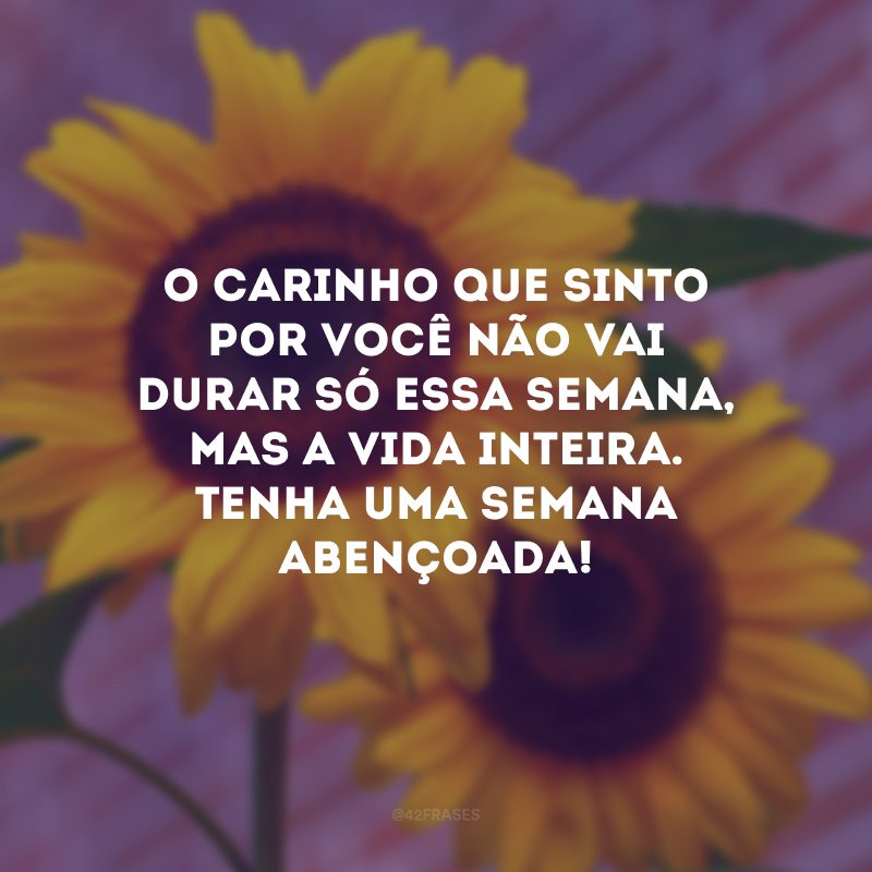 O carinho que sinto por você não vai durar só essa semana, mas a vida inteira. Tenha uma semana abençoada!