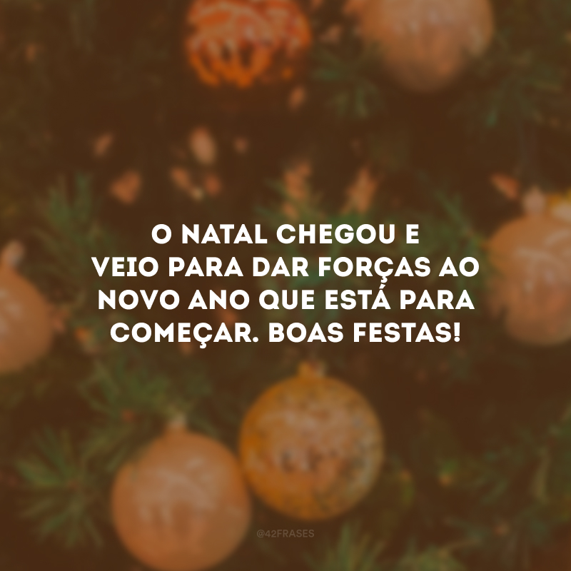 O Natal chegou e veio para dar forças ao novo ano que está para começar. Boas Festas!