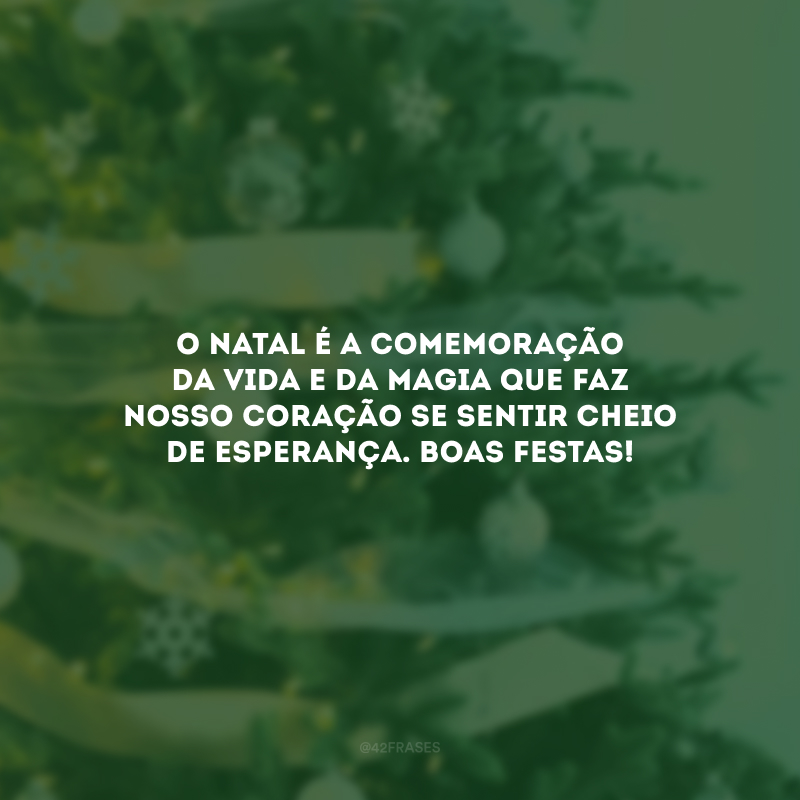 O Natal é a comemoração da vida e da magia que faz nosso coração se sentir cheio de esperança. Boas Festas!