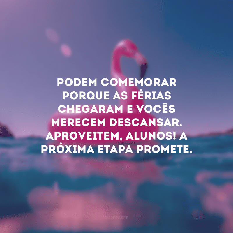 Podem comemorar porque as férias chegaram e vocês merecem descansar. Aproveitem, alunos! A próxima etapa promete.