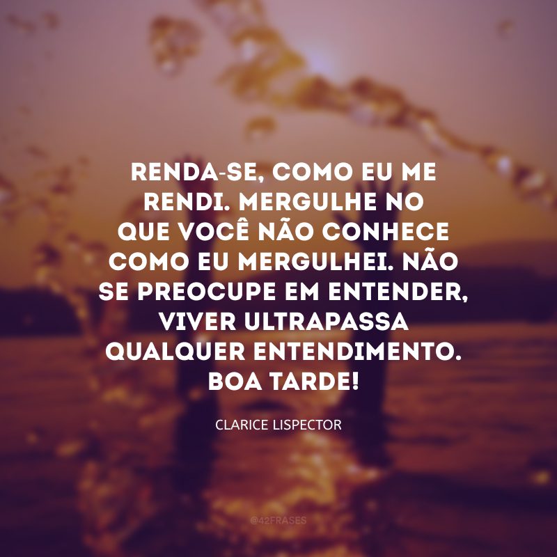 Renda-se, como eu me rendi. Mergulhe no que você não conhece como eu mergulhei. Não se preocupe em entender, viver ultrapassa qualquer entendimento. Boa tarde!