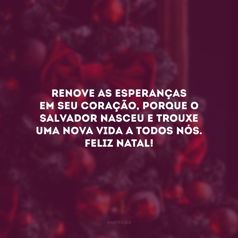 Renove as esperanças em seu coração, porque o Salvador nasceu e trouxe uma nova vida a todos nós. Feliz Natal!