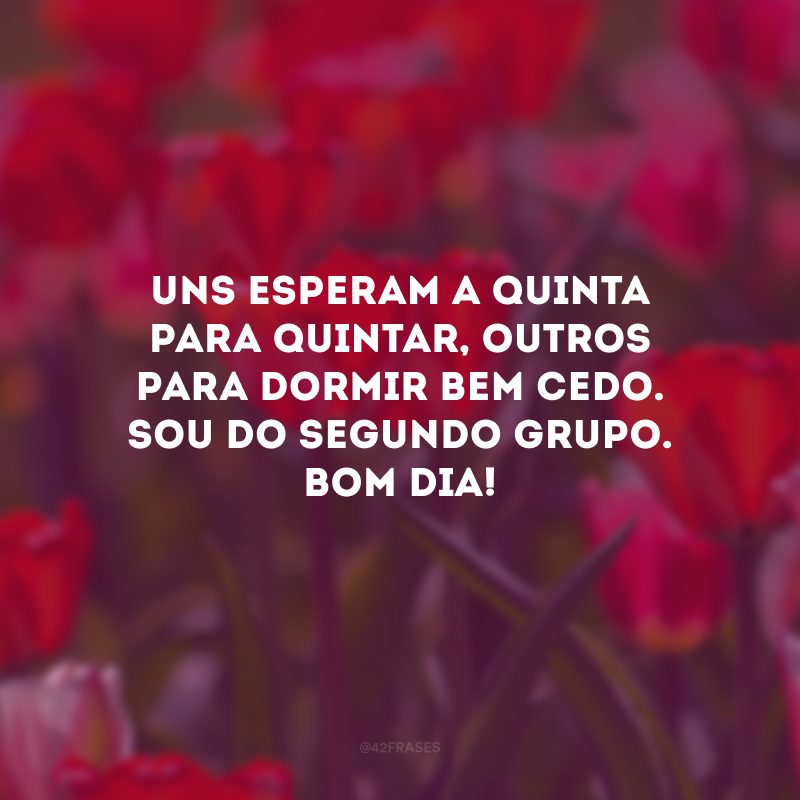 Uns esperam a quinta para quintar, outros para dormir bem cedo. Sou do segundo grupo. Bom dia!