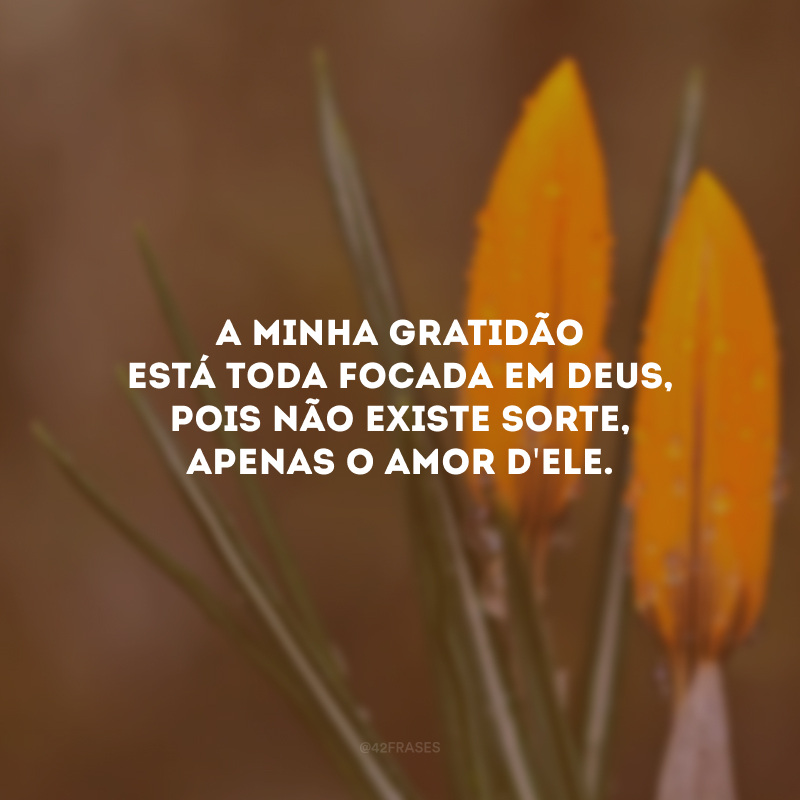 A minha gratidão está toda focada em Deus, pois não existe sorte, apenas o amor d\'Ele. 