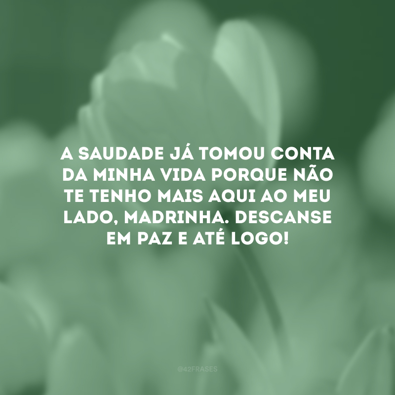 A saudade já tomou conta da minha vida porque não te tenho mais aqui ao meu lado, madrinha. Descanse em paz e até logo!