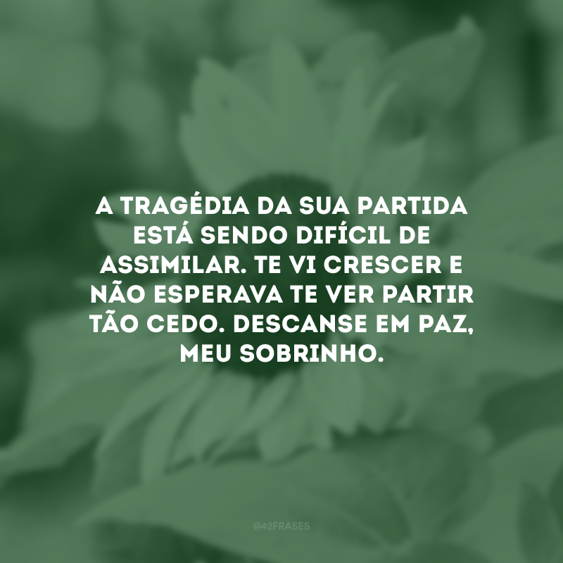 A tragédia da sua partida está sendo difícil de assimilar. Te vi crescer e não esperava te ver partir tão cedo. Descanse em paz, meu sobrinho.