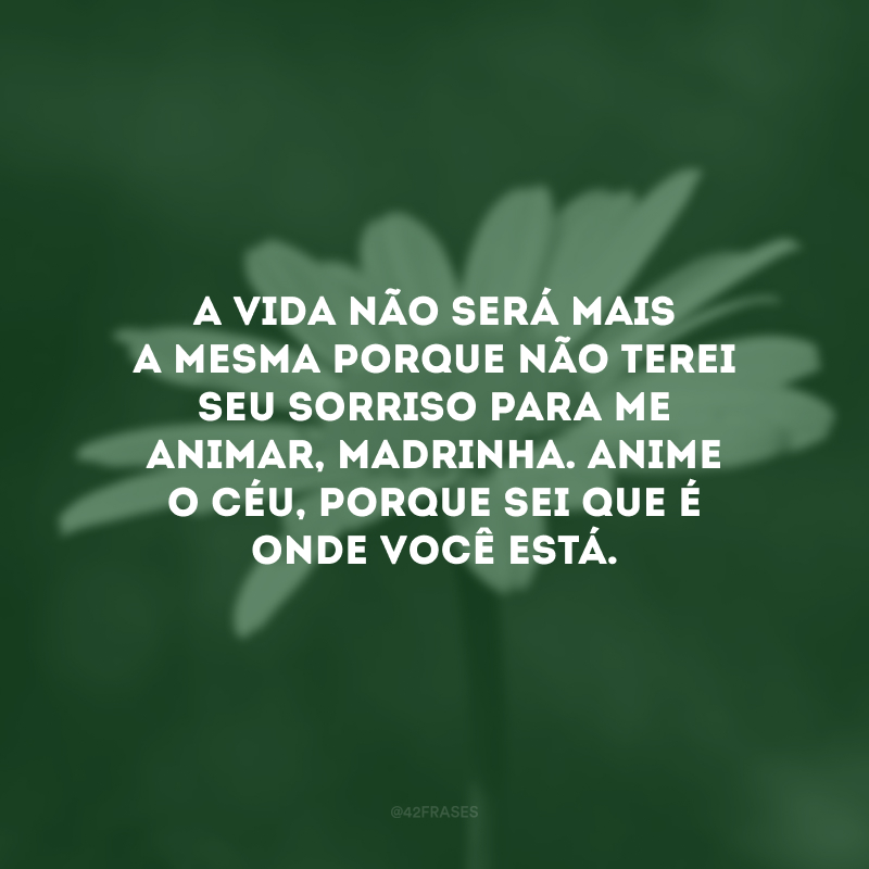 A vida não será mais a mesma porque não terei seu sorriso para me animar, madrinha. Anime o céu, porque sei que é onde você está.