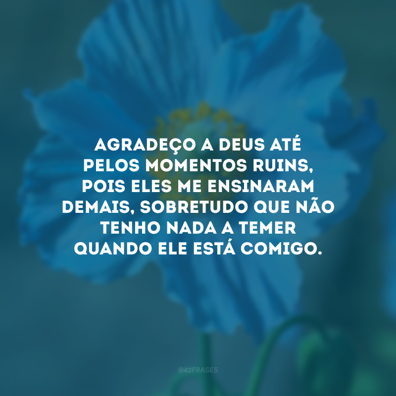 Agradeço a Deus até pelos momentos ruins, pois eles me ensinaram demais, sobretudo que não tenho nada a temer quando Ele está comigo. 