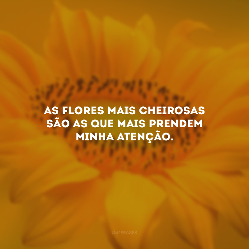 As flores mais cheirosas são as que mais prendem minha atenção.