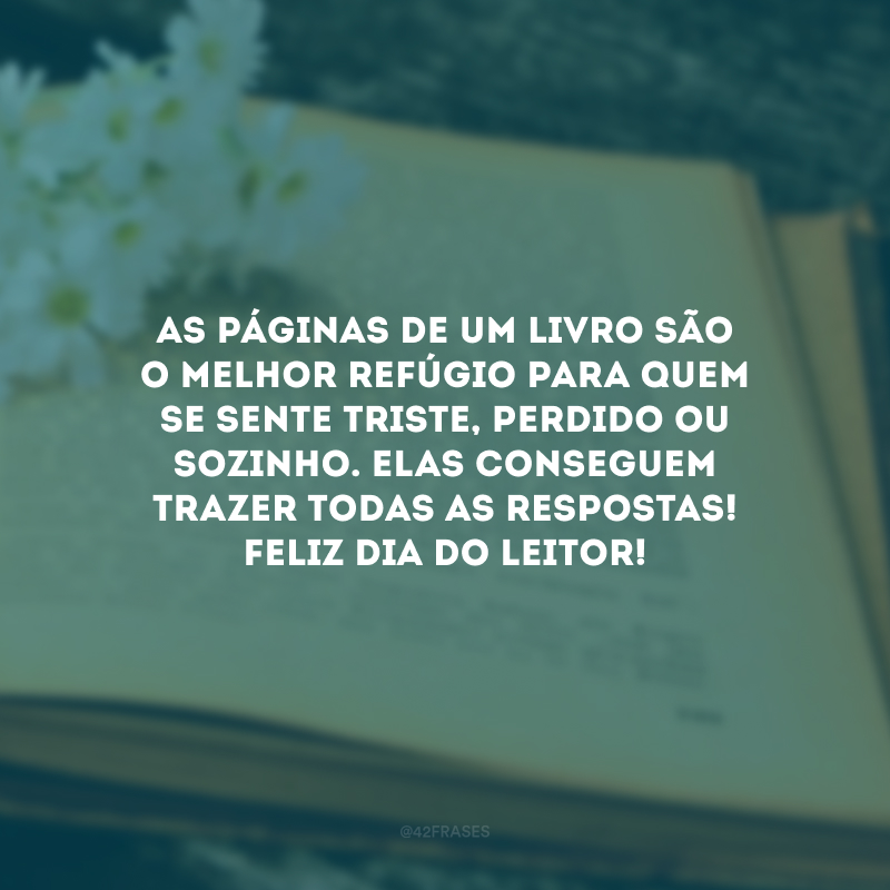 As páginas de um livro são o melhor refúgio para quem se sente triste, perdido ou sozinho. Elas conseguem trazer todas as respostas!  Feliz Dia do Leitor!